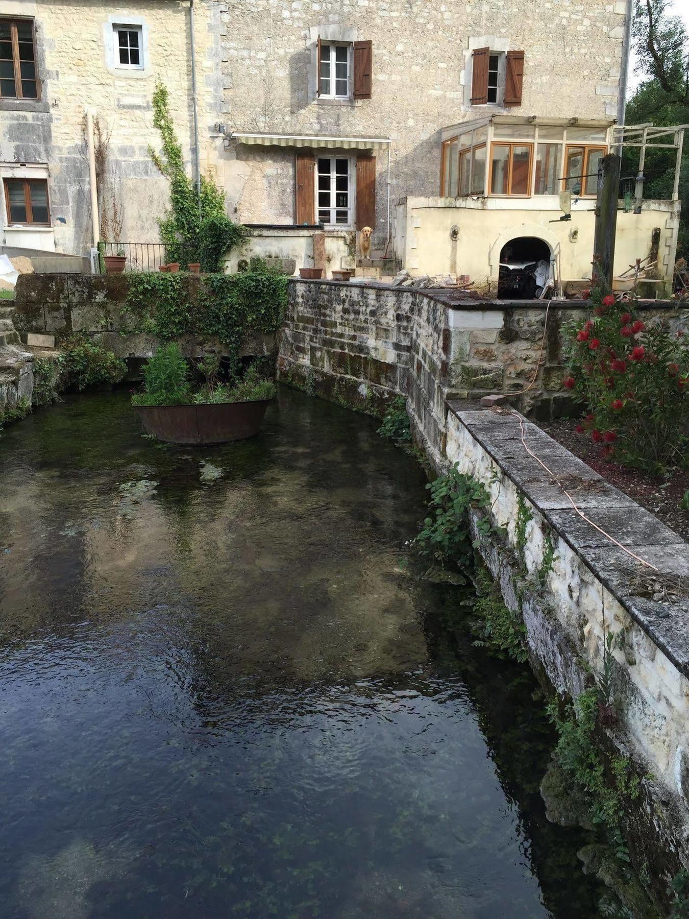 Petit Moulin De Veillard Villa Bourg-Charente Ngoại thất bức ảnh